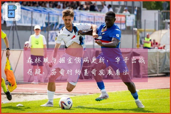 森林狼与掘金伤病更新，华子出战存疑，芬奇对约基奇发表看法